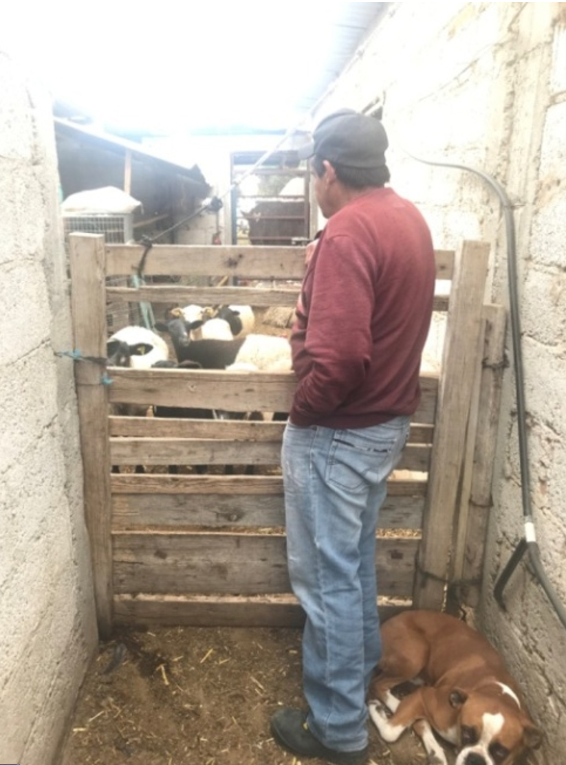 Vivir la vejez en el campo
